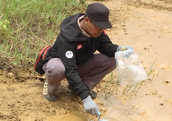 Mercury Contamination of Cattle in Artisanal and Small-Scale Gold Mining in Bombana, Southeast Sulawesi, Indonesia