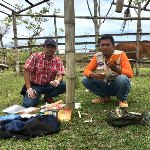 Environmental Impact Assessments Studies