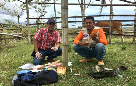 Environmental Impact Assessments Studies Environmental Impact Assessments Studies