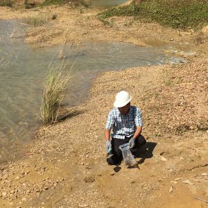 Environmental Impact Assessments Studies
