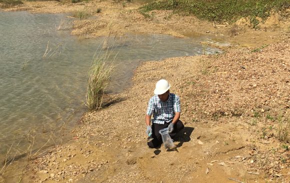 Environmental Impact Assessments Studies Environmental Impact Assessments Studies