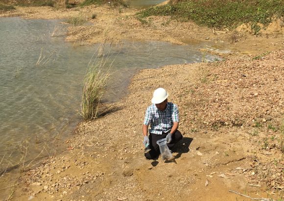 Environmental Impact Assessments Studies