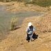 Environmental Impact Assessments Studies