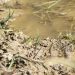 ASGM and Mercury Pollution Problem
